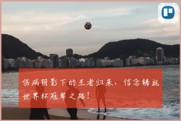 伤病阴影下的王者归来,信念铸就世界杯冠军之路!
