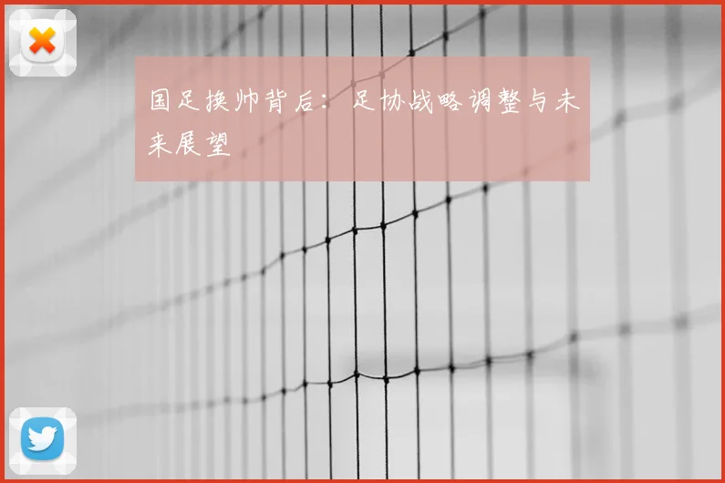 国足换帅背后：足协战略调整与未来展望