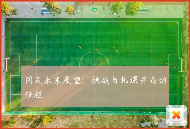 国足未来展望：挑战与机遇并存的征程